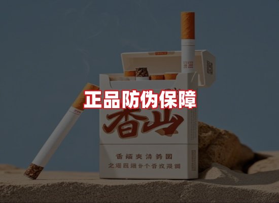 专业团队